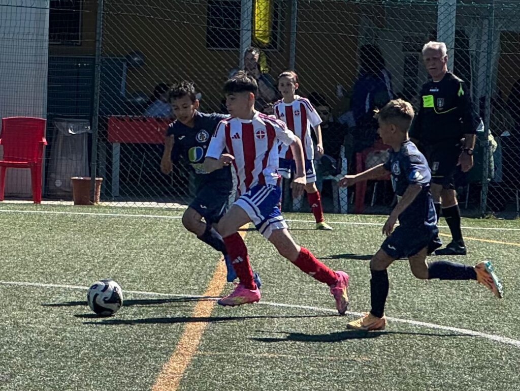 Foto delle squadre dell'Accademia Pavese