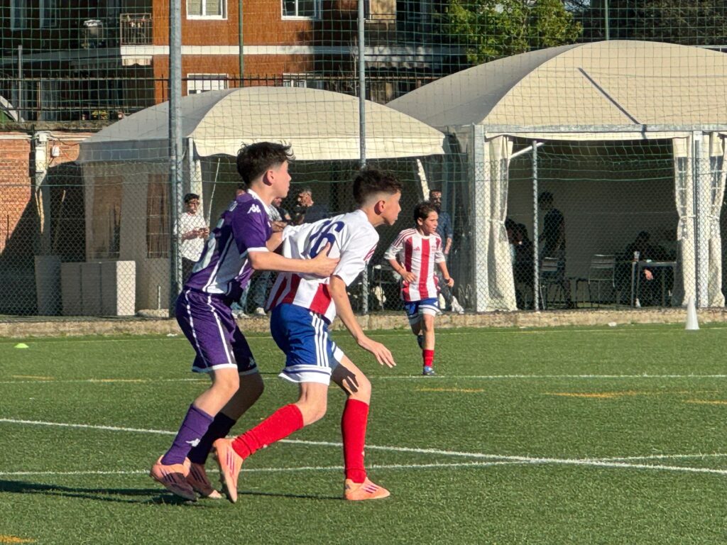 Foto delle squadre dell'Accademia Pavese