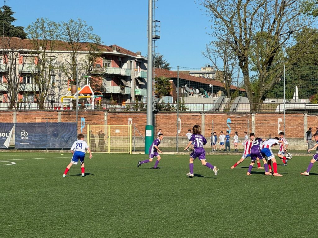 Foto delle squadre dell'Accademia Pavese