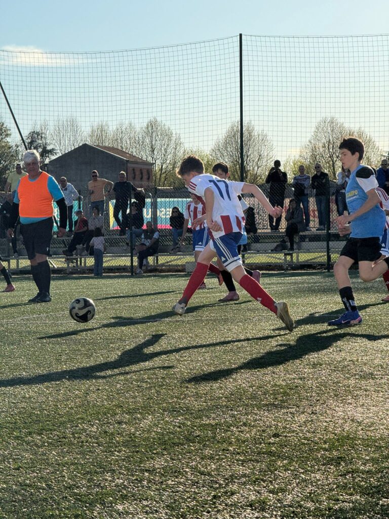 Foto delle squadre dell'Accademia Pavese