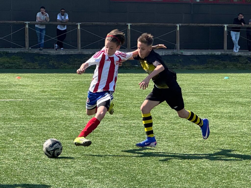 Foto delle squadre dell'Accademia Pavese