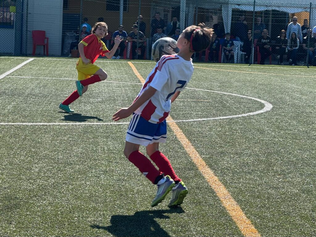 Foto delle squadre dell'Accademia Pavese