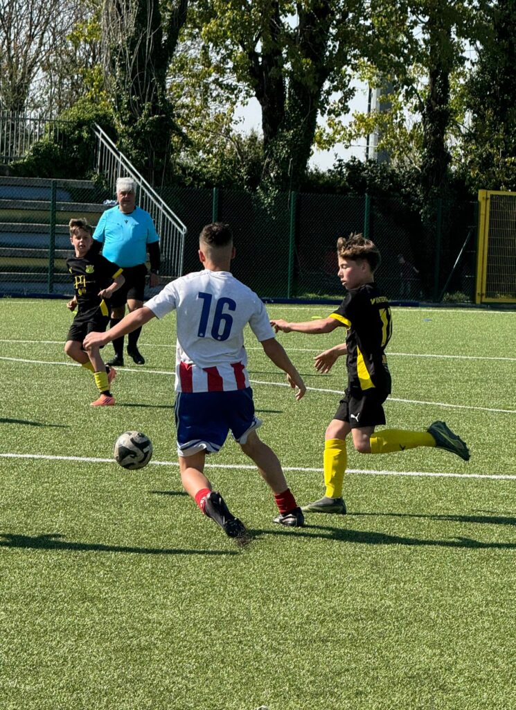 Foto delle squadre dell'Accademia Pavese